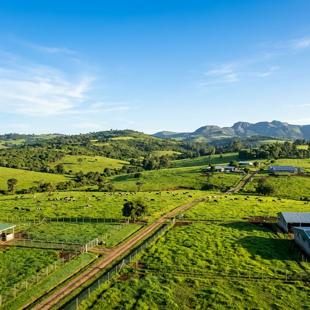 Kivuli Farm Landscape